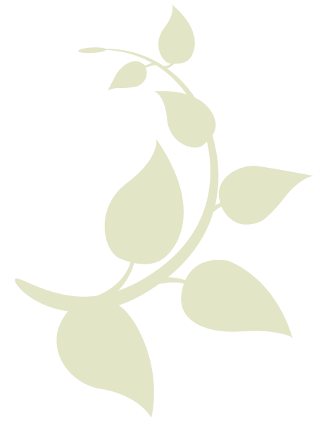 gruenzweig_Logo_Icon.png