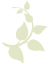 gruenzweig_favicon.png