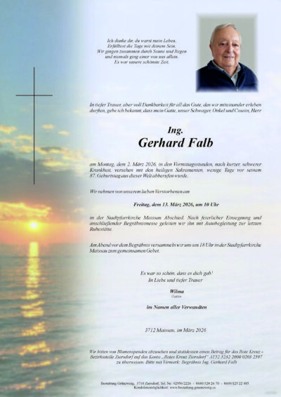Ing. Gerhard Falb
