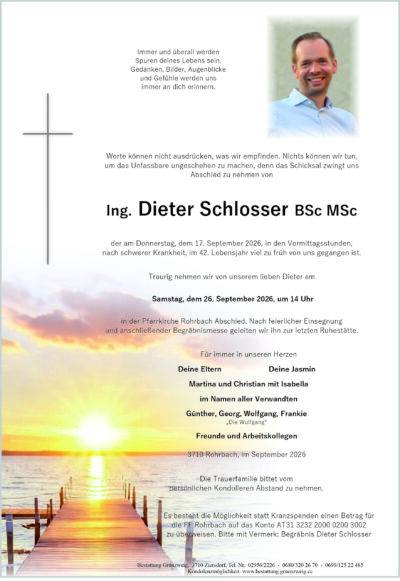 Ing. Dieter Schlosser BSc MSc