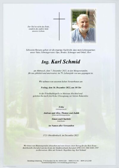 Ing. Karl Schmid